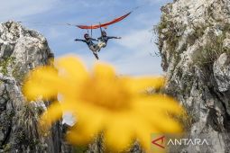 Wisata Hammock di Kabupaten Bandung Barat