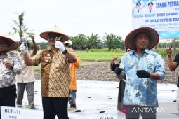 Pemkab Deli Serdang beri perhatian  khusus pada produksi cabai