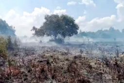 BPBD Kobar siaga hadapi karhutla