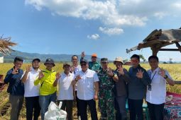 Hingga 13 Mei 2025, Bulog Jatim serap 425 ribu ton beras