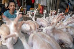 Palu konsisten jaga stabilitas harga bahan pokok di pasar