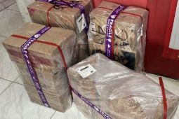 Bea Cukai Teluk Nibung sita 31.200 batang rokok ilegal