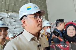 Wamentan sebut Indonesia tidak impor beras buat harga beras dunia turun