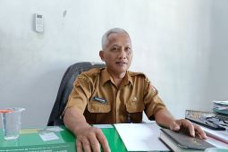 DKPP Bojonegoro catat luas lahan tanaman tembakau meningkat pada 2024