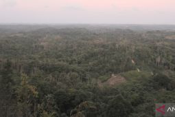 Orang Balik: Identitas yang tersembunyi di Sepaku, IKN