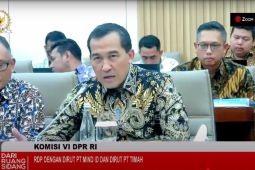 Dirut PT Timah - Komisi VI DPR bahas atasi tambang ilegal marak