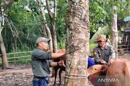 Dinas Pertanian OKU bentuk tim pengawas hewan kurban