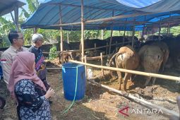 TPID DIY pantau ketersediaan hewan kurban di Bantul jelang Idul Adha
