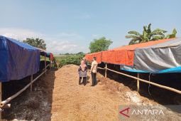 Pemkab Bantul memastikan ketersediaan hewan kurban cukup untuk Idul Adha