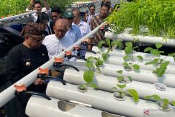 Bupati Garut: Aquaponik perlu dikembangkan untuk atasi stunting