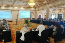 PPN/Bappenas tunjuk Banjar Kalsel lokus penurunan stunting nasional