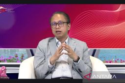 Kemenko ekonomi: AS cukup bergantung pada beberapa komoditas Indonesia