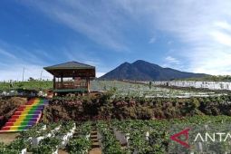 Farenza Garden Merangin masuk nominasi Anugerah Pesona Indonesia Award 2025