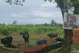 Kabupaten Penajam  siapkan 1.200 hewan kurban dengan jaminan kesehatan