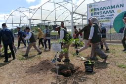 Produksi bibit di Persemaian Mandalika ditargetkan 1,5 juta