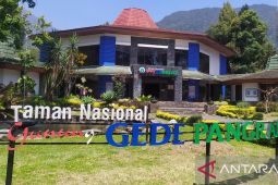 TNGGP menangani sampah jalur pendakian Gunung Gede Pangrango