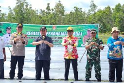 Pemkab Katingan Gencarkan Penanaman Cabai, Upaya Nyata Kendalikan Harga Pangan