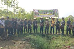 Kodim Bekasi dan masyarakat Setu panen raya komoditas singkong