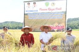 Gus Irawan pimpin panen raya padi di Angkola Timur, sebagai dukungan swasembada pangan nasional