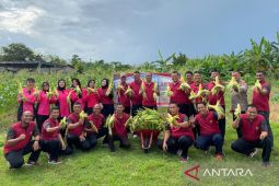 Polres Bangka Barat panen jagung bantu ketahanan pangan