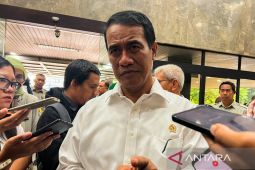 Mentan Amran usulkan pengendalian impor singkong