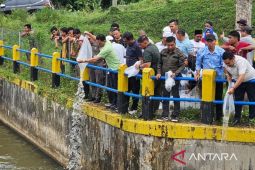 Bupati Tapsel genjot program swasembada Ikan Air Tawar