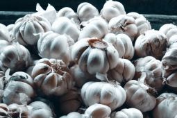 Biak pastikan kebutuhan bahan pokok Idul Adha mencukupi