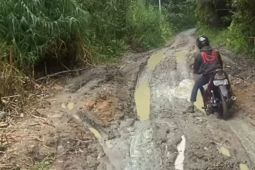 Kerusakan jalan menuju Situs 1000 Megalit di Behoa semakin parah, warga harap perhatian pemerintah