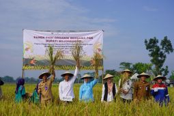 Pemkab Bojonegoro berkomitmen kembangkan pertanian padi organik