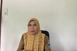 Calon PPPK Kabupaten Batanghari sedang menunggu hasil kelulusan