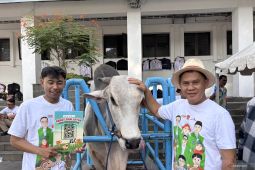 DKPP Kota Bandung sebar 156 petugas memeriksa kesehatan hewan kurban