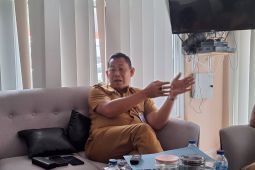 Pemprov Sumsel perbaiki sembilan jembatan pada 2025, gelontorkan Rp70 miliar