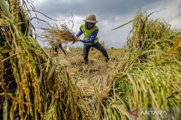 Menjaga kekuatan ekonomi Indonesia di tengah gejolak global