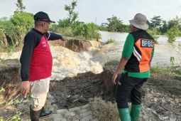 11 desa di Demak terdampak banjir akibat tanggul Sungai Tuntang jebol
