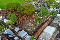 Proyeksi kebutuhan hewan kurban nasional 2025
