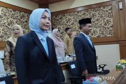Ratu Zakiyah-Najib ditetapkan DPRD jadi Bupati-Wabup Kabupaten Serang