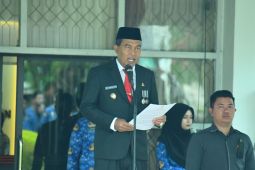 Bupati HSS: Harkitnas refleksi perkuat jati diri