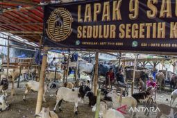 Baznas RI targetkan pengumpulan kurban 2025 mencapai 7.000 ekor
