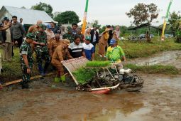 Belitung dukung program ketahanan pangan nasional