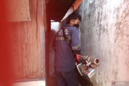 Warga OKU diminta waspada, ada 113 kasus DBD hingga Mei 2025