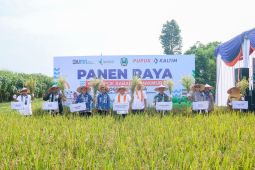 Sinergi PKT BISA dongkrak produktivitas pertanian dan kesejahteraan petani Magetan