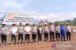 Baharkam Polri panen raya jagung hibrida di Cianjur mencapai 125 ton