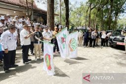 Gubernur Kalteng: Perlindungan satwa bagian dari visi besar pembangunan berkelanjutan