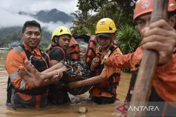 Banjir luapan Sungai Citanduy di Ciamis