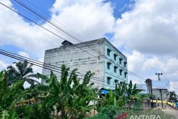 Pajak sarang burung walet per triwulan pertama rendah