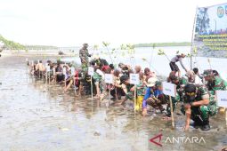 Kodim 0432 Bangka Selatan tanam 1.000 bibit Mangrove di pesisir pantai Desa Kumbung