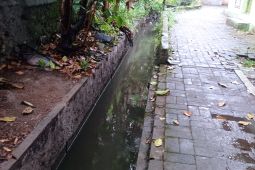 Kasus DBD di Lebak Banten capai 307 orang