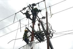 PLN Tingkatkan Keandalan Listrik Lewat Optimalisasi SSO di Sambas