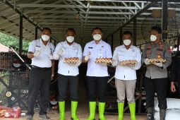 Bupati Paser panen telur  ayam yang dikelola Disbunak