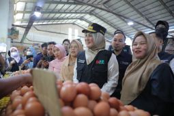 Bangka Belitung tambah pasokan 39,5 ton telur ayam ras